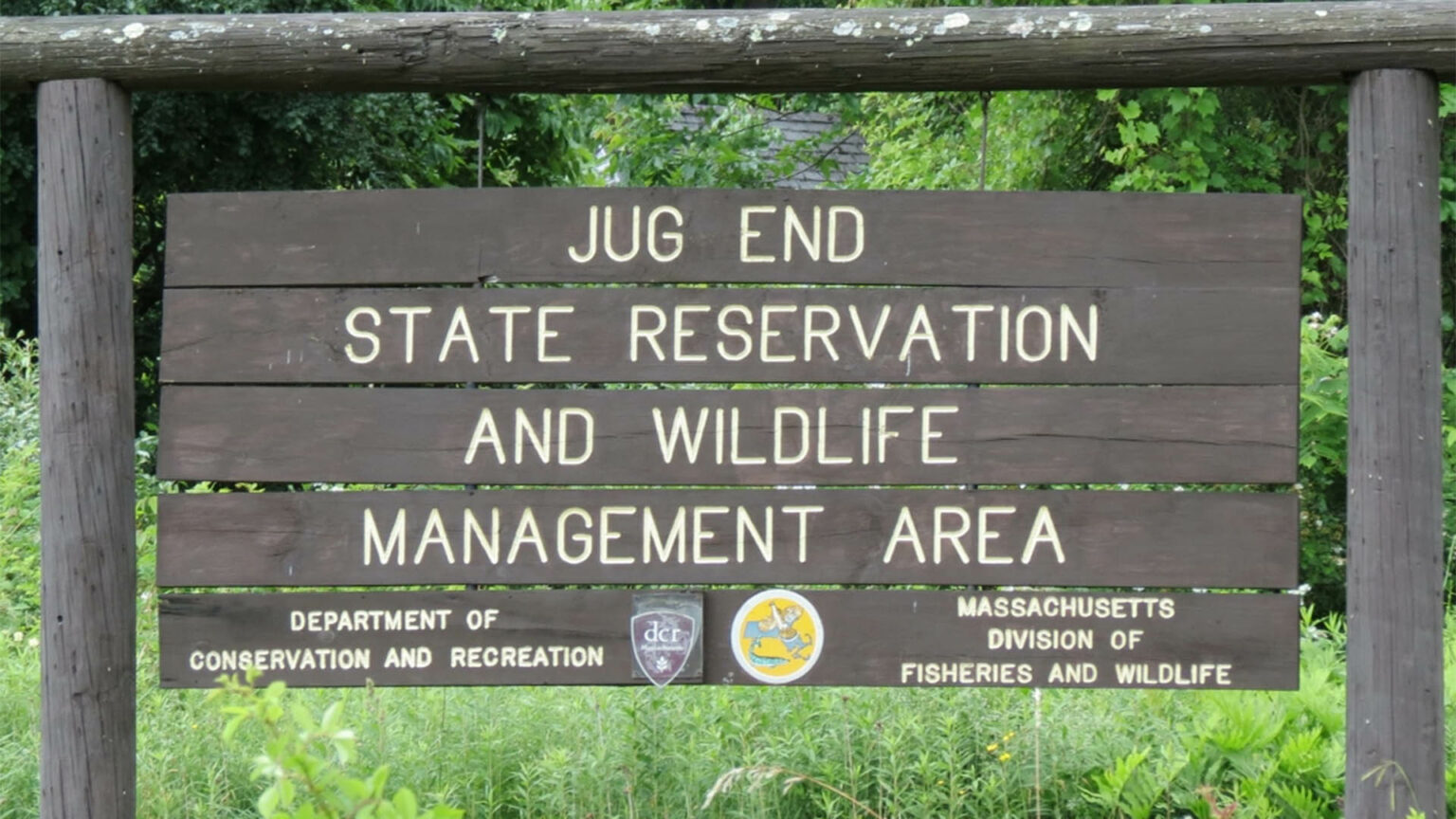 Escape to Nature's Embrace: Unwinding at Jug End State Reservation