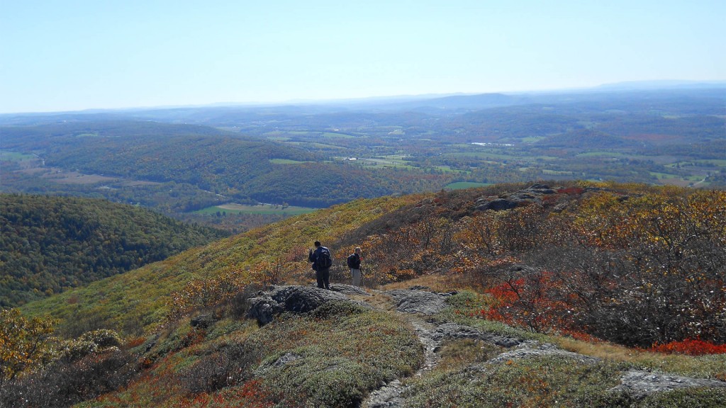 Mount Washington State Forest - Mt. Washington, MA - Housatonic Heritage