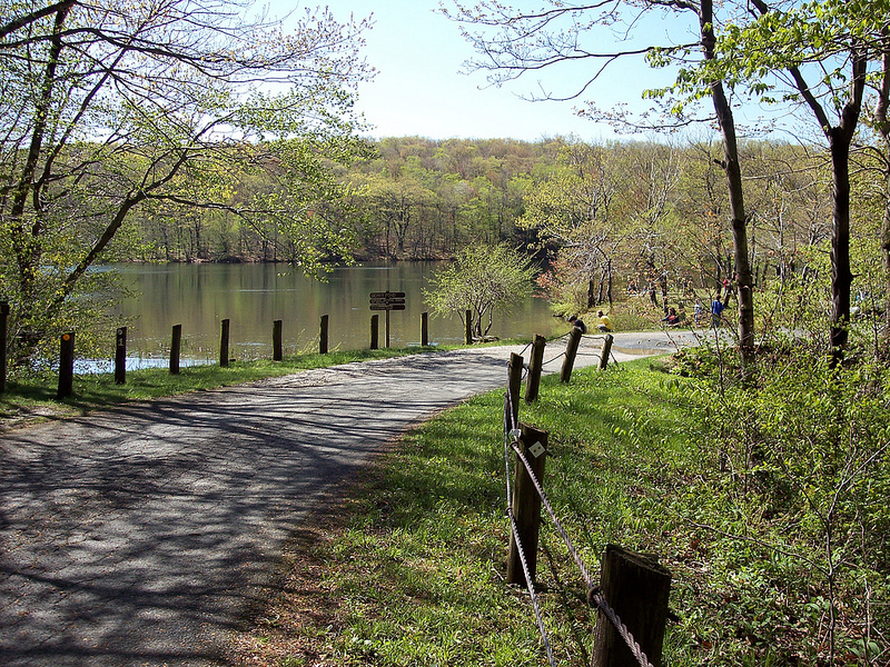 Pittsfield State Forest Atv